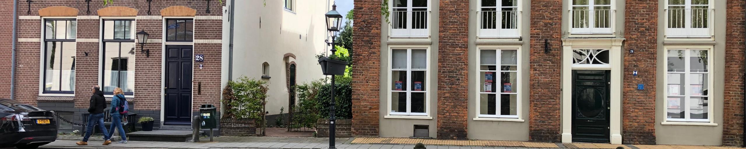 Koepoortstraat onder de wilg