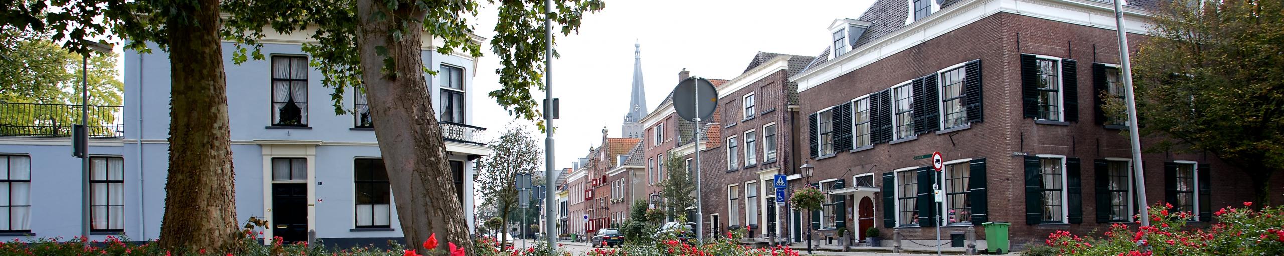 Koepoortstraat bloemen